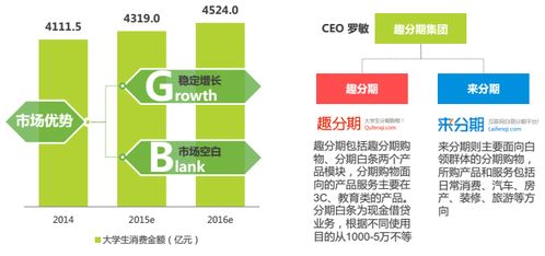 分期電商市場深度調研 現狀、機遇與挑戰